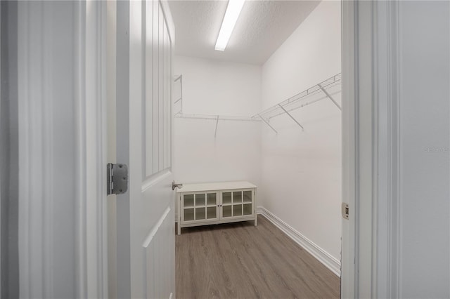 3906 N Lynn Ave, Tampa, FL 33603 - walk in closet with wood finished floors