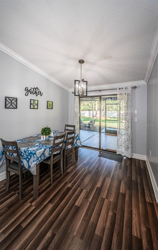 455 Cypress Lake Ct, Oldsmar, FL 34677 - photo 13