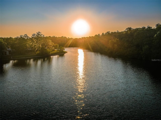 455 Cypress Lake Ct, Oldsmar, FL 34677 - photo 55