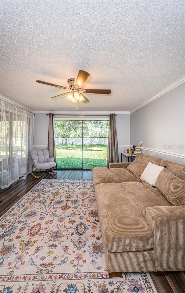 455 Cypress Lake Ct, Oldsmar, FL 34677 - photo 23