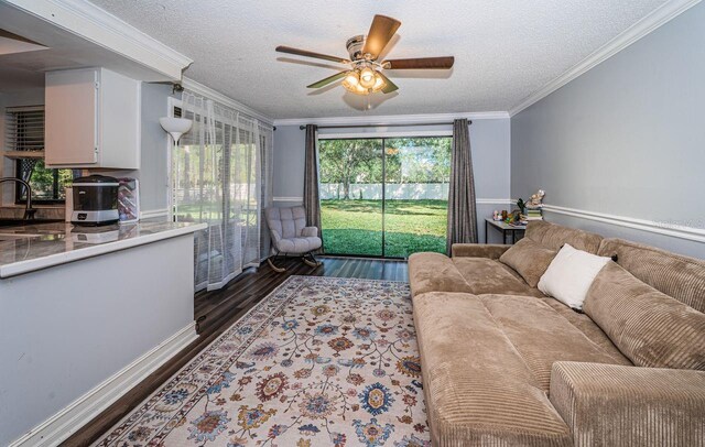455 Cypress Lake Ct, Oldsmar, FL 34677 - photo 24