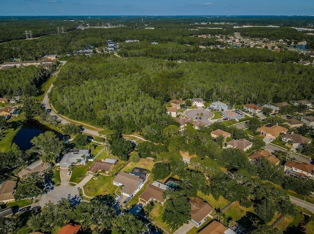 455 Cypress Lake Ct, Oldsmar, FL 34677 - photo 48