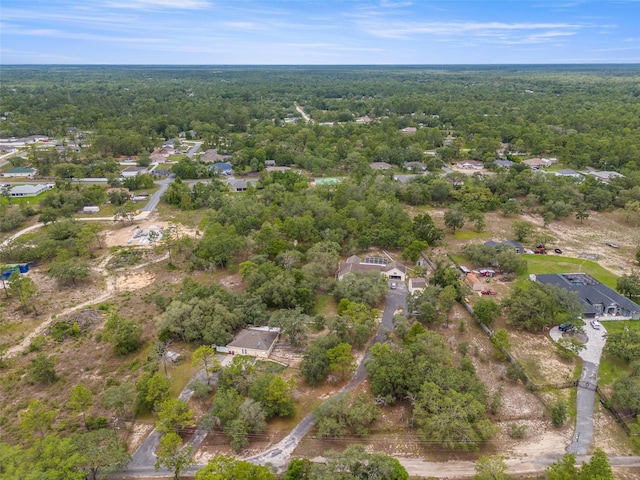 bird's eye view of a forest
