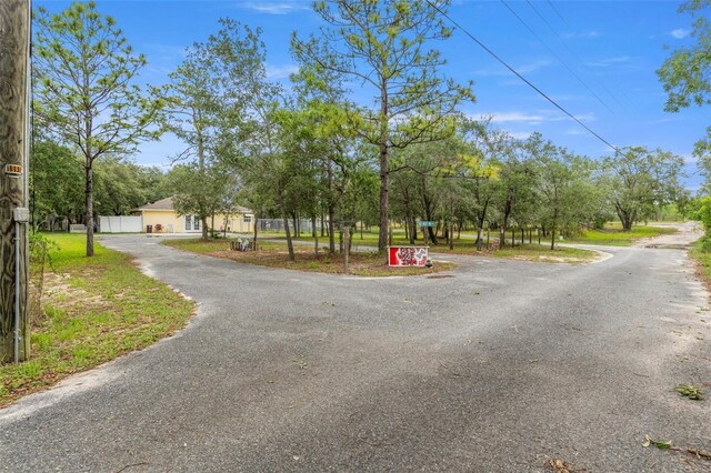 view of asphalt driveway