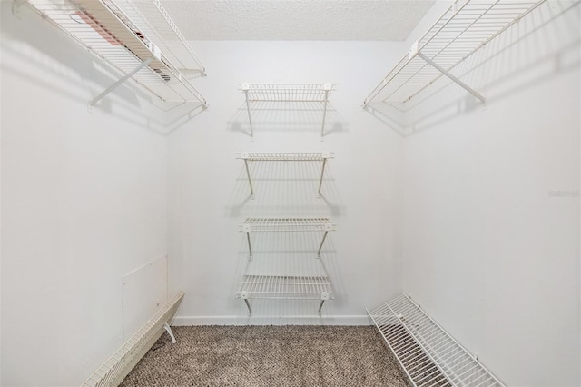 3055 Casa Del Sol Cir Unit 202, Clearwater, FL 33761 - photo 22