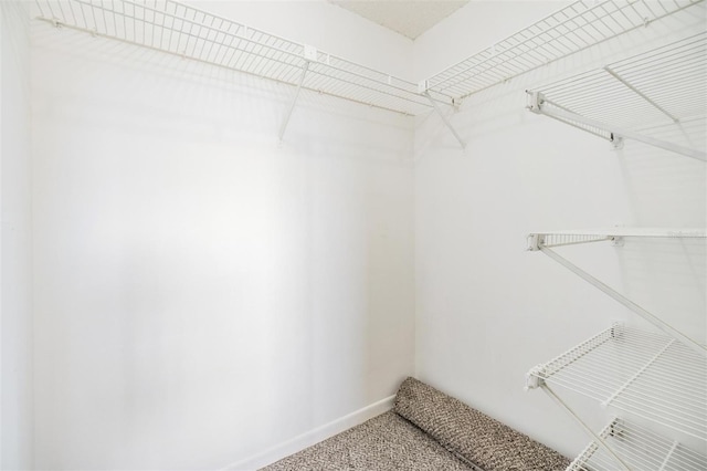 3055 Casa Del Sol Cir Unit 202, Clearwater, FL 33761 - photo 25