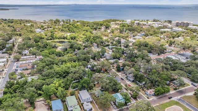 526 5th Ave N, Safety Harbor, FL 34695 - photo 23
