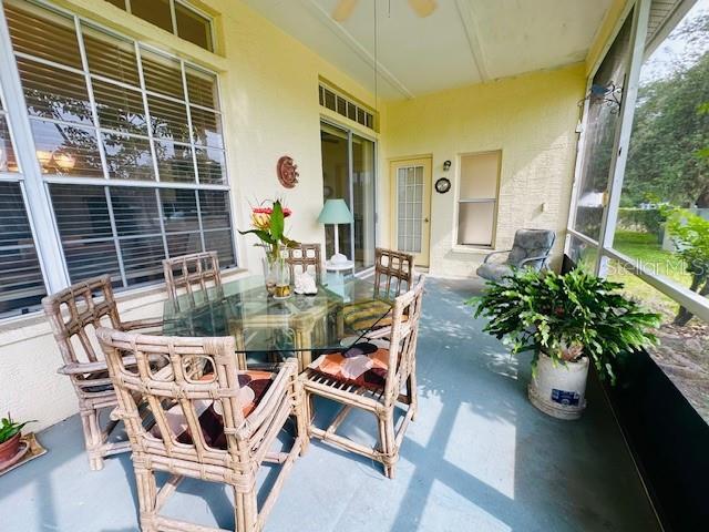 10806 Brookhaven Dr, New Port Richey, FL 34654 - photo 5