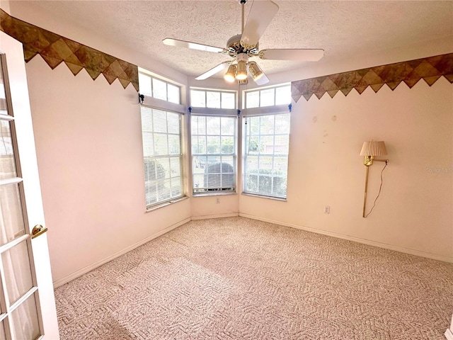 10806 Brookhaven Dr, New Port Richey, FL 34654 - photo 28