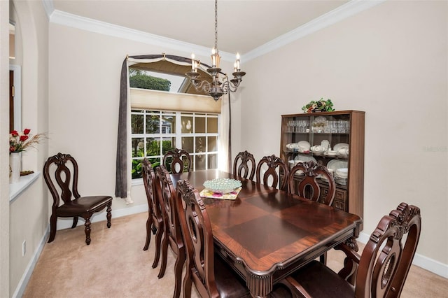 1802 Oak Ridge Rd, Safety Harbor, FL 34695 - photo 7