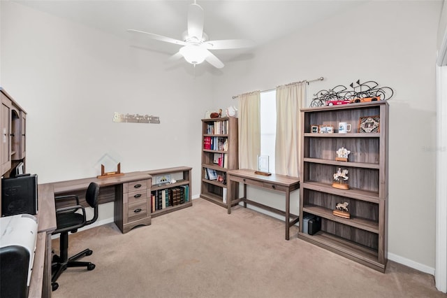 1802 Oak Ridge Rd, Safety Harbor, FL 34695 - photo 28
