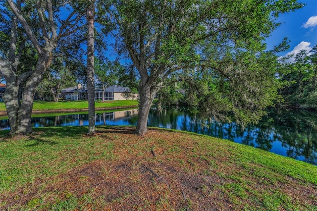 1802 Oak Ridge Rd, Safety Harbor, FL 34695 - photo 54