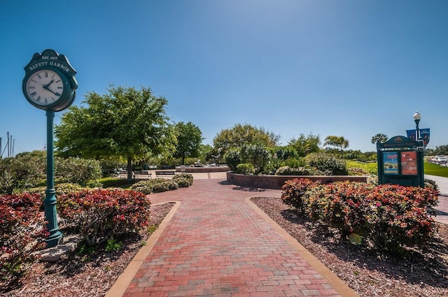 1802 Oak Ridge Rd, Safety Harbor, FL 34695 - photo 60