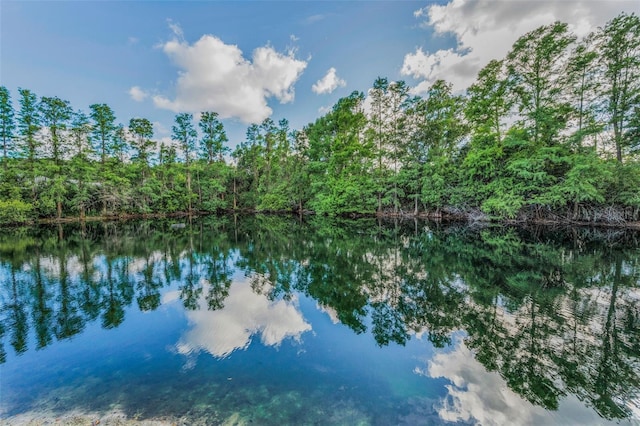 1802 Oak Ridge Rd, Safety Harbor, FL 34695 - photo 50