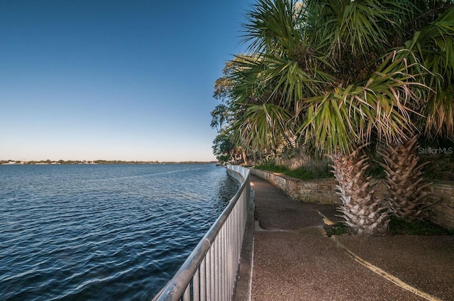 1802 Oak Ridge Rd, Safety Harbor, FL 34695 - photo 67