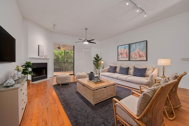 3044 Red Oak Ct Unit 204, Palm Harbor, FL 34684 - living room with track lighting, ornamental molding, ceiling fan, light wood-style floors, and a fireplace with flush hearth