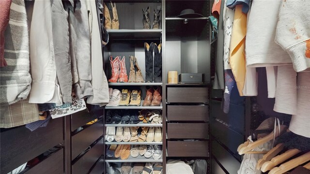 10739 Shady Preserve Dr, Riverview, FL 33579 - view of spacious closet
