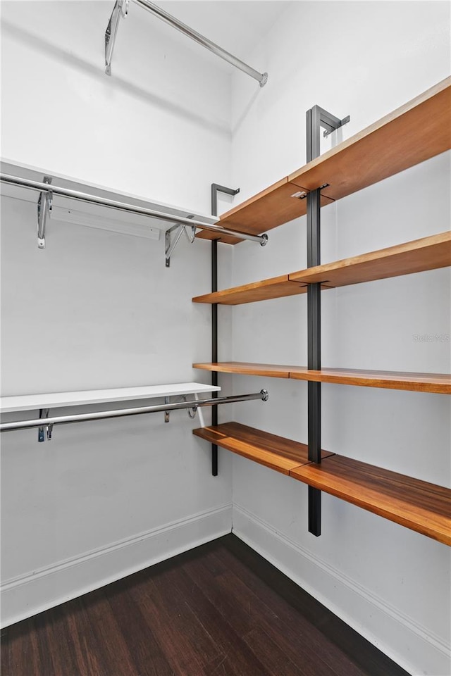 3620 W San Pedro St, Tampa, FL 33629 - spacious closet with dark wood finished floors