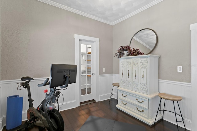 3620 W San Pedro St, Tampa, FL 33629 - workout room with wainscoting, dark wood finished floors, and ornamental molding