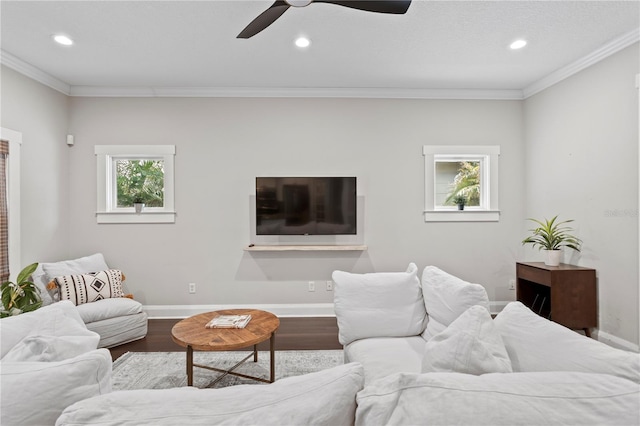 3620 W San Pedro St, Tampa, FL 33629 - living area with baseboards, recessed lighting, wood finished floors, crown molding, and a ceiling fan