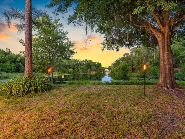 view of yard featuring a water view