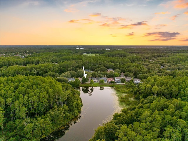 drone / aerial view of a heavily wooded area and a large body of water