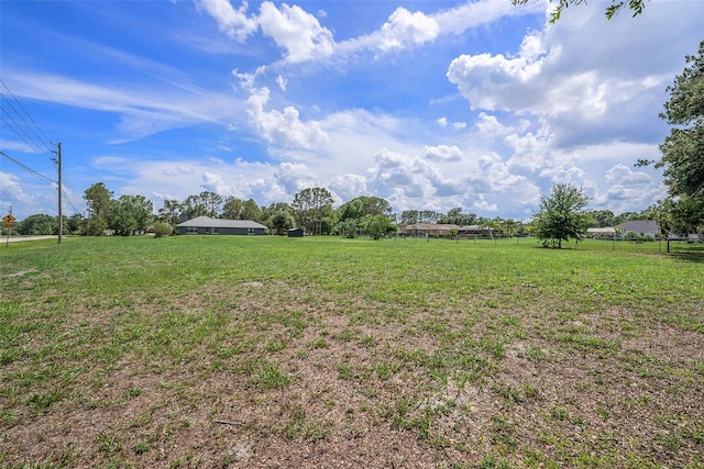 31645 Bugle Ln, Wesley Chapel, FL 33543 - view of yard