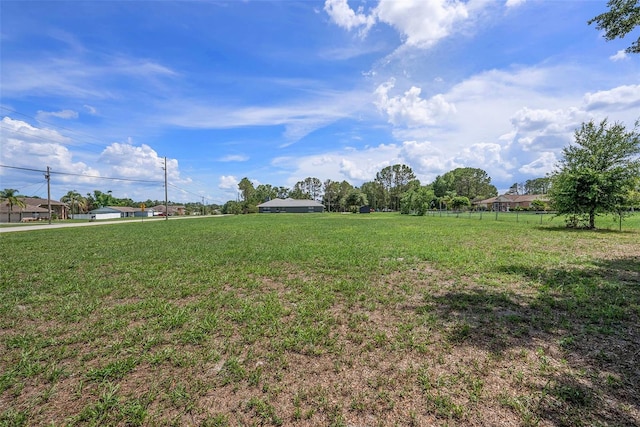 31645 Bugle Ln, Wesley Chapel, FL 33543 - view of green lawn