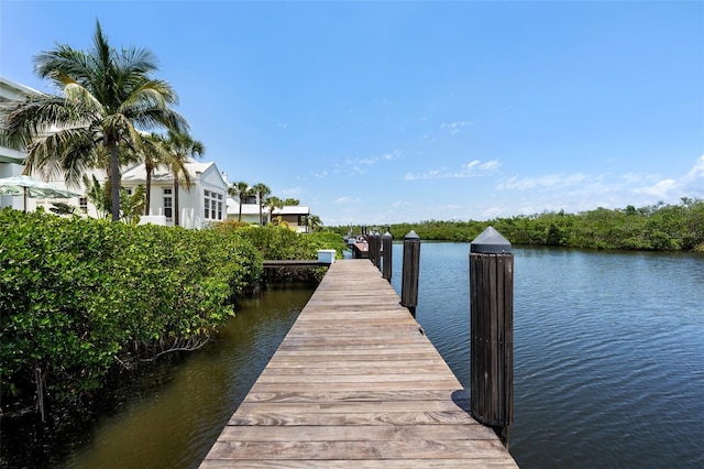 3125 Christophers Watch Ln, Ruskin, FL 33570 - photo 3