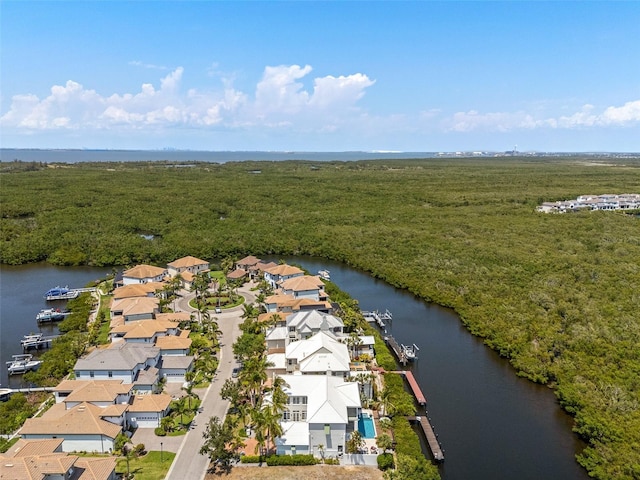 3125 Christophers Watch Ln, Ruskin, FL 33570 - photo 58