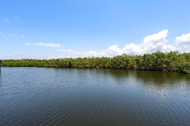 3125 Christophers Watch Ln, Ruskin, FL 33570 - photo 49