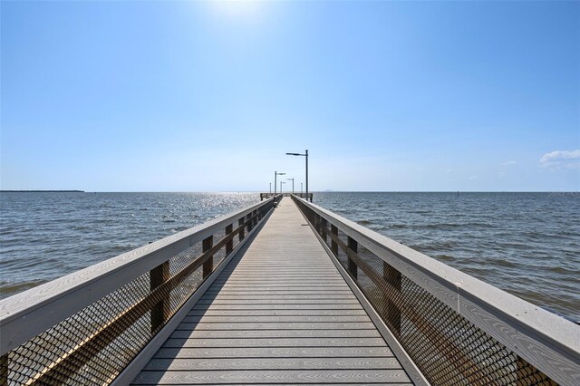 3125 Christophers Watch Ln, Ruskin, FL 33570 - photo 56
