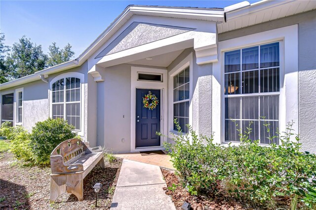 6030 Sandhill Ridge Dr, Lithia, FL 33547 - property entrance with stucco siding