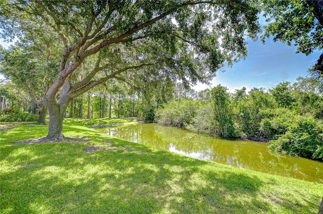 6030 Sandhill Ridge Dr, Lithia, FL 33547 - view of green lawn with a water view