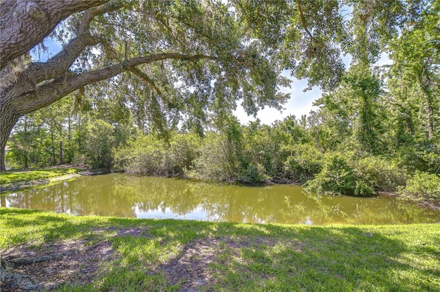 6030 Sandhill Ridge Dr, Lithia, FL 33547 - water view with a forest