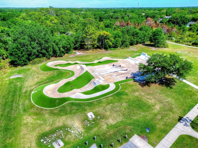 6030 Sandhill Ridge Dr, Lithia, FL 33547 - bird's eye view