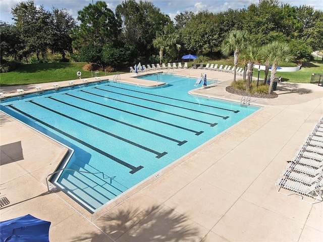 6030 Sandhill Ridge Dr, Lithia, FL 33547 - community pool with view of scattered trees and a patio area