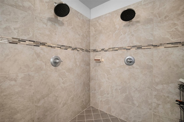 11550 Lake Lucaya Dr, Riverview, FL 33579 - bathroom with tiled shower