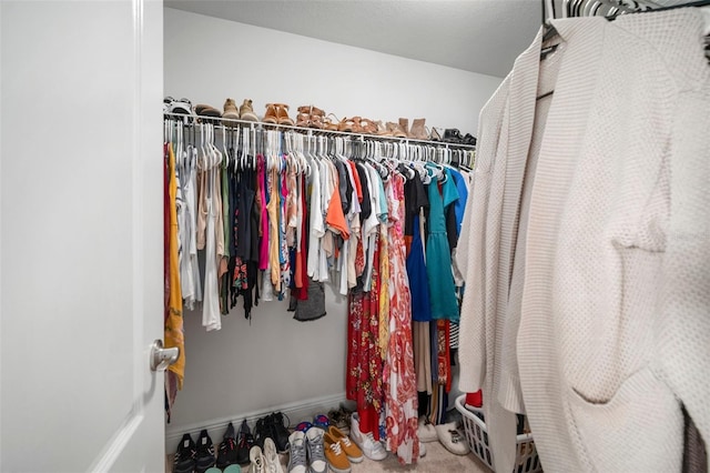 11550 Lake Lucaya Dr, Riverview, FL 33579 - walk in closet with carpet flooring