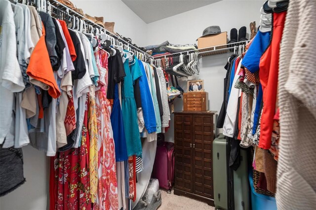 11550 Lake Lucaya Dr, Riverview, FL 33579 - spacious closet with carpet flooring