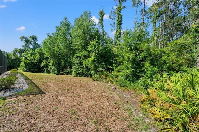 11137 Woodland Waters Blvd, Weeki Wachee, FL 34613 - photo 71