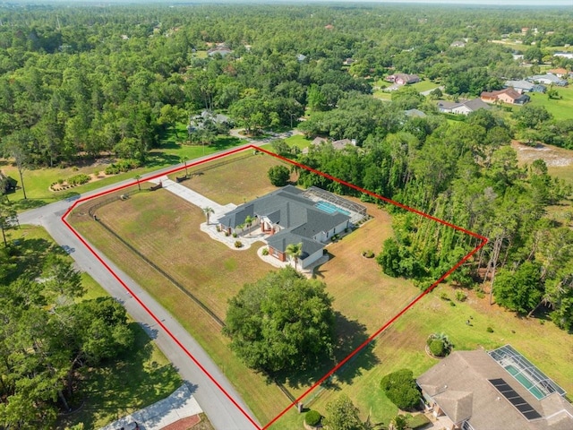 11137 Woodland Waters Blvd, Weeki Wachee, FL 34613 - photo 73