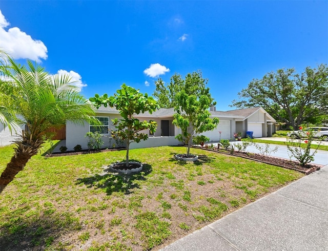 6705 Ranger Dr, Tampa, FL 33615 - photo 3