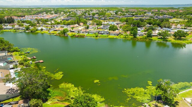 6705 Ranger Dr, Tampa, FL 33615 - photo 5