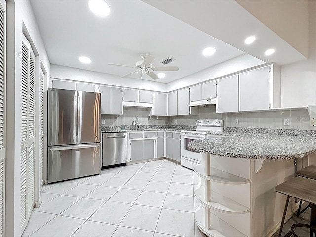 3328 S Whitechappel Pt, Inverness, FL 34452 - kitchen featuring appliances with stainless steel finishes, under cabinet range hood, a peninsula, a sink, and a ceiling fan