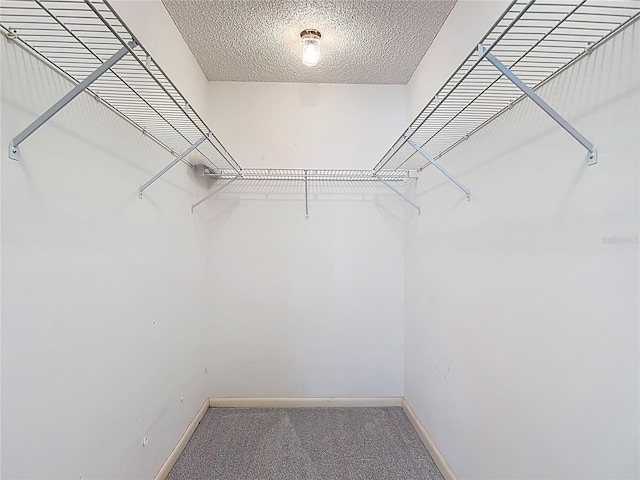 3328 S Whitechappel Pt, Inverness, FL 34452 - walk in closet featuring carpet floors