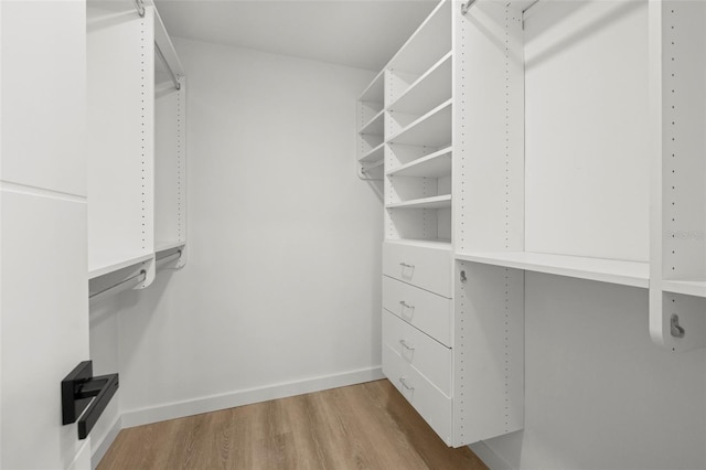 3801 Dr Martin Luther King Jr St N, Saint Petersburg, FL 33703 - walk in closet with wood finished floors