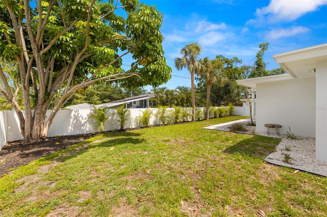 3801 Dr Martin Luther King Jr St N, Saint Petersburg, FL 33703 - view of yard