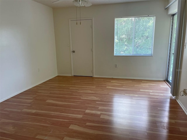 210 Cypress Ct Unit 122, Oldsmar, FL 34677 - spare room featuring light wood-style floors and baseboards
