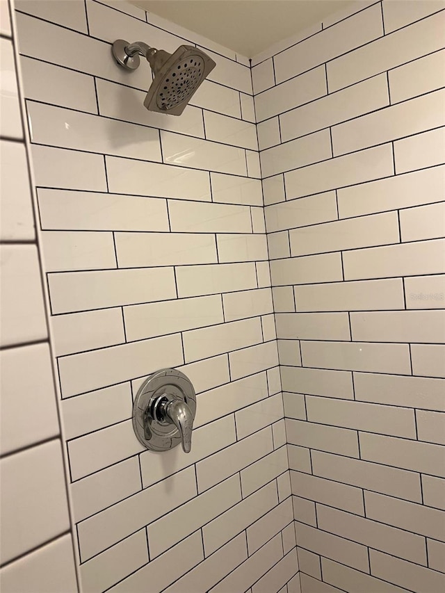 210 Cypress Ct Unit 122, Oldsmar, FL 34677 - bathroom view of a tile shower and a package area
